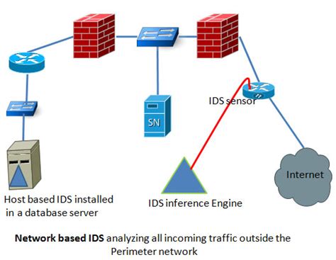 Host Based IDS vs Network Based IDS | securitywing