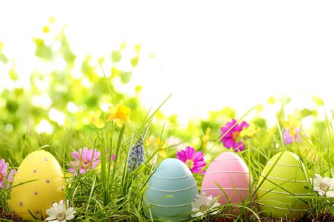 spring free wallpapers themed Happy Easter Wallpaper, Spring Desktop Wallpaper, Trendy Wallpaper ...