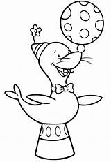 Circus Seal Coloring Page At GetDrawings  Free Download sketch template