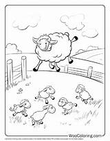 100  Sheep coloring Pages Free PDF To Print Woo Coloring sketch template
