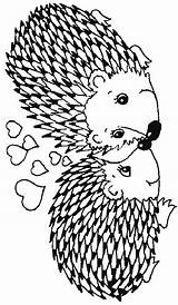 20 Best Hedgehog Coloring Pages For Kids  Updated 2018 sketch template