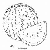Watermelon Coloring Pages Free Printable PDF sketch template