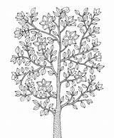 Tree Branch Coloring Pages  Home sketch template