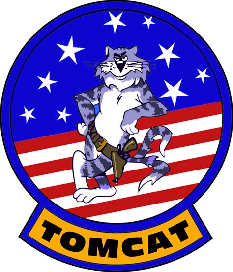 Grumman F-14 Tomcat Flight Insignia by viperaviator on DeviantArt