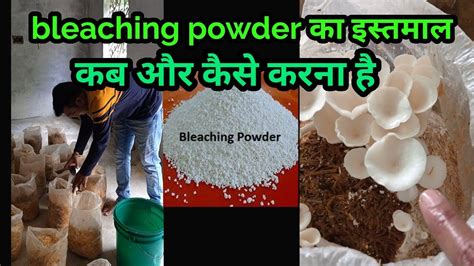 bleaching powder का इस्तमाल कब और कैसे करें /bleaching powder uses and ...