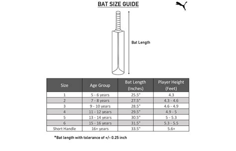 PUMA CRICKET Evospeed 2.17 English Willow Cricket Bat | Size Junior 6 | eBay