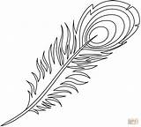 Peacock Feather coloring Page  Free Printable Coloring Pages sketch template