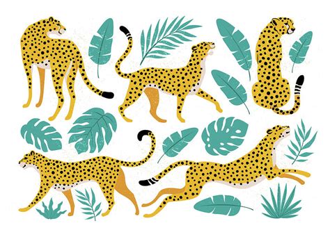 Leopard in tropical jungles hand drawn vintage illustration Drawing by ...