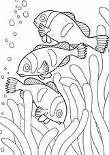 Printable Sea Animals Coloring Pages sketch template