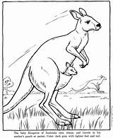 Kangaroo Picture coloring sheets To color sketch template