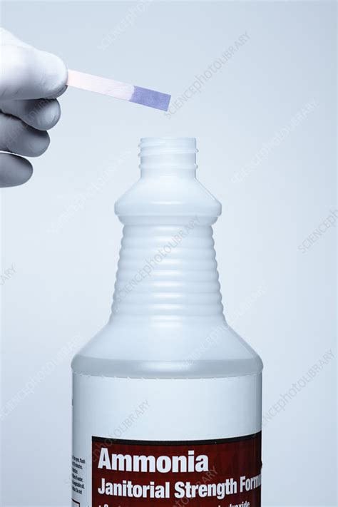 pH of household ammonia - Stock Image - C036/3287 - Science Photo Library