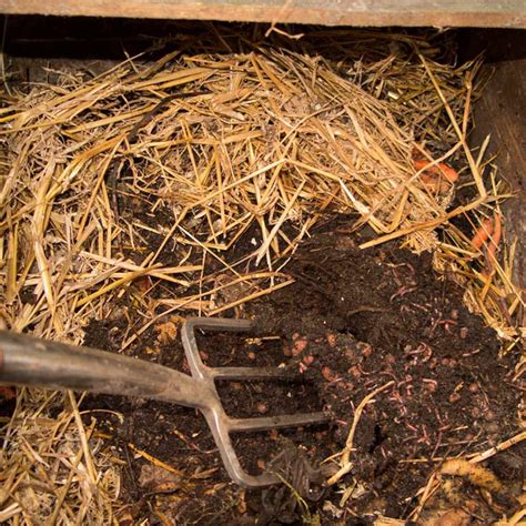 10 Tips for Composting Your Leaves This Fall | Taste of Home