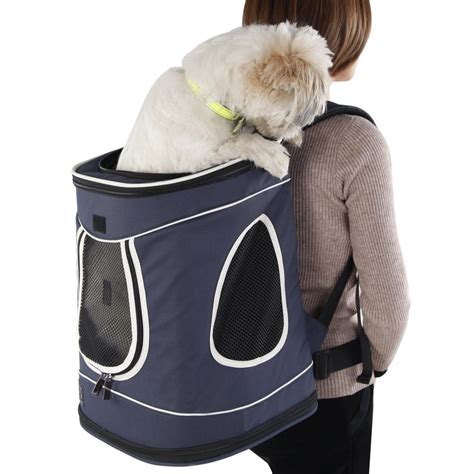 Best Dog Carrier Hiking Backpacks - Ruby Cavalier King Charles Spaniel