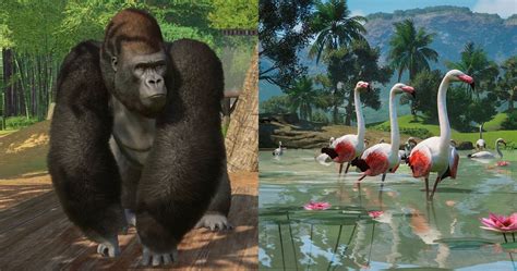 Planet Zoo: 11 Most Popular Animal Attractions And 4 Least Popular