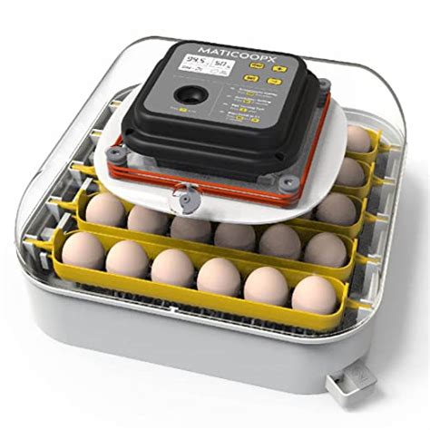 16 Best Egg Incubator in 2023 for Chicken [Fully Automatic Tuner]