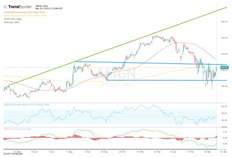 Amgen Stock Looks to Break Out After Analyst Upgrade