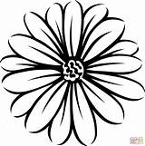 Daisy Coloring Page  Free Printable Coloring Pages sketch template