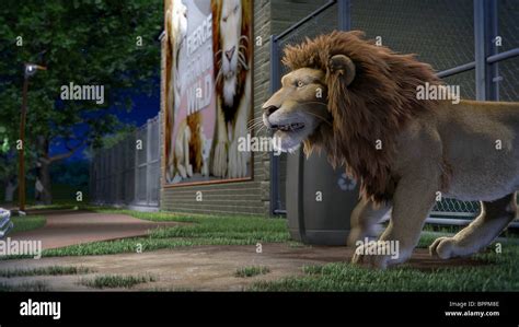 SAMSON THE WILD (2006 Stock Photo, Royalty Free Image: 31231662 - Alamy