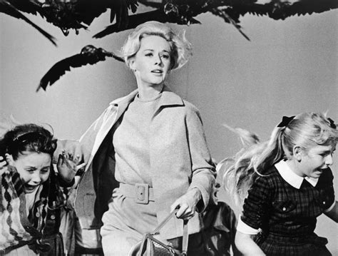 Alfred Hitchcock's 'The Birds' Was Inspired By a Real-Life Bird Attack in California