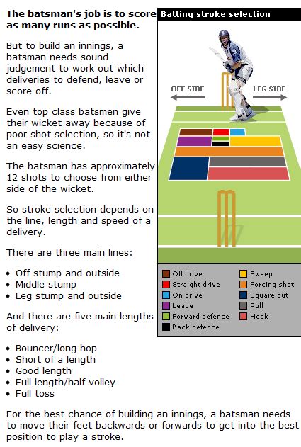 CRICKET MASTER 11: Shot selection