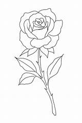 Pin de Abigail Warren en Coloring  Dibujo Rosa sketch template