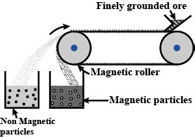 Explain magnetic separation process of ores with the help of a neat ...