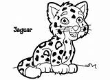 Easy Jaguar Drawing  Free Download On ClipArtMag sketch template
