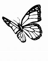 Butterfly Coloring Pages sketch template
