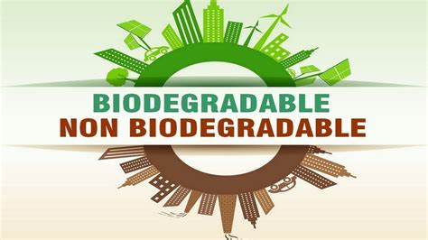 Biodegradable and Nonbiodegradable - YouTube