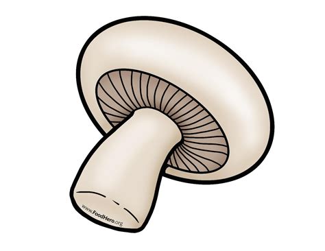 Mushroom illustration #mushroom | Stuffed mushrooms, Everyday objects, Clip art