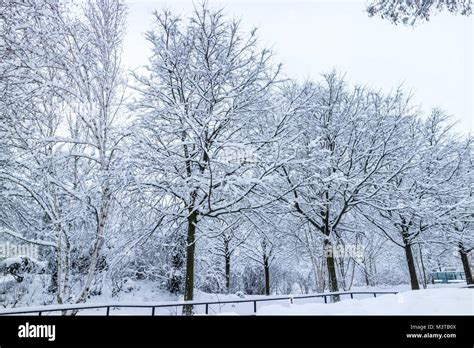 Winter snow in Paris City and its parks in France Stock Photo - Alamy