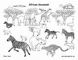 African Drawings Of Animals sketch template