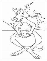 Mother kangaroo With Her Baby coloring Pages  Download Free sketch template
