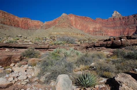 Some cool geology in Grand Canyon.