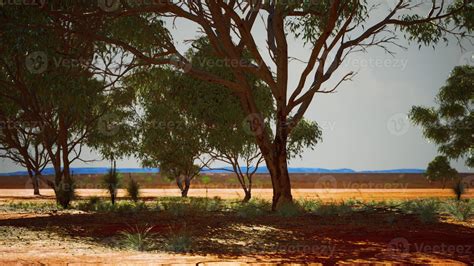 dry african savannah with trees 5622648 Stock Photo at Vecteezy