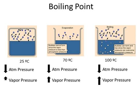 equilibrium - Vapor Pressure and Boiling Point - Chemistry Stack Exchange