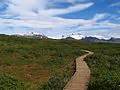 Category:Hiking trails in Skaftafell National Park - Wikimedia Commons