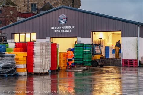 Through the Gaps! - Newlyn Fishing News: Cornwall is THE seafood centre ...