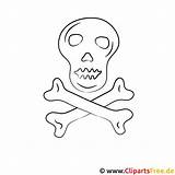 Totenkopf Ausmalbilder Malvorlagen Sketch Coloring Page sketch template