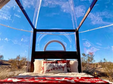 Bubble Tent in Joshua Tree California is Perfect Spot for Stargazing