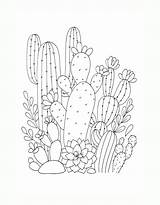 Cactus Coloring Pages Free Printable PDF sketch template