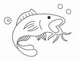 Free Fish Coloring Pages ⋆ The Hollydog Blog sketch template