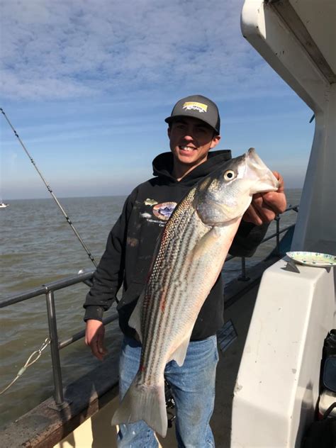 San Pablo Bay Fish Report - Happy Hooker - Striped Bass San Pablo Bay - January 27, 2019