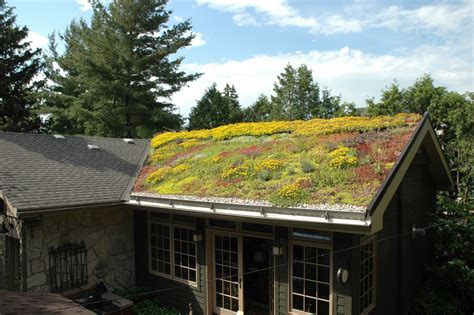 Green Roof Design, Install & Maintenance · Environmental Design Group