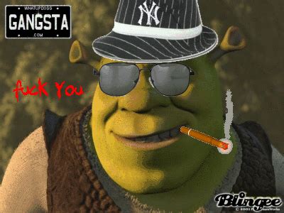 Shrek Memes Clean Gif - IMAGESEE