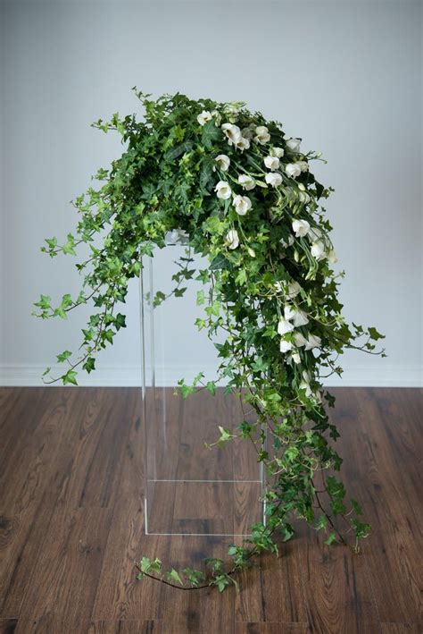 DIY Rustic Glam Chandelier and Fern Overhang - Confetti | Wedding flowers greenery, Wedding ...