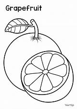 Grapefruit Coloring Pages Free Printable PDFs  WakeTheKids sketch template