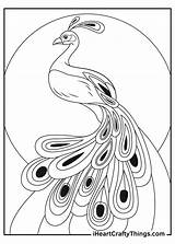 Peacock coloring Pages – Artofit sketch template