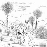 Free Coloring Pages Of The Desert sketch template