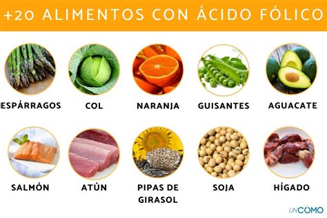 Alimento Rico Em ácido Fólico - RETOEDU